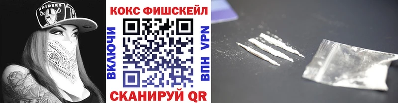 хочу   Петровск  mega ссылка  Cocaine FishScale 