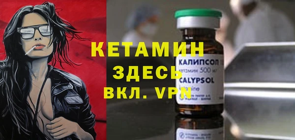 мет Алексин