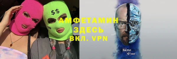 прущие грибы Алзамай