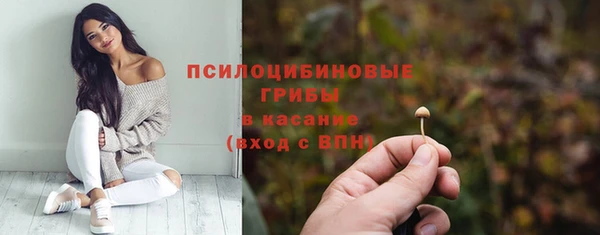 прущие грибы Алзамай