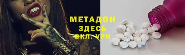 прущие грибы Алзамай