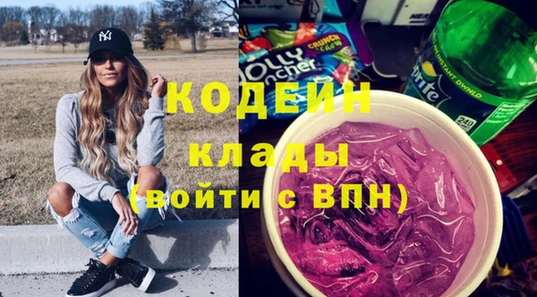 прущие грибы Алзамай