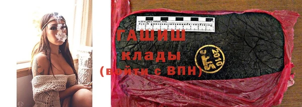 прущие грибы Алзамай
