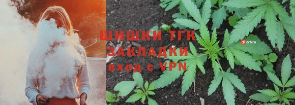 прущие грибы Алзамай