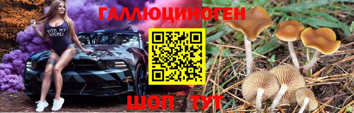 Галлюциногенные грибы мухоморы  Галлюциногенные грибы GOLDEN TEACHER  Вход с VPN  Петровск 